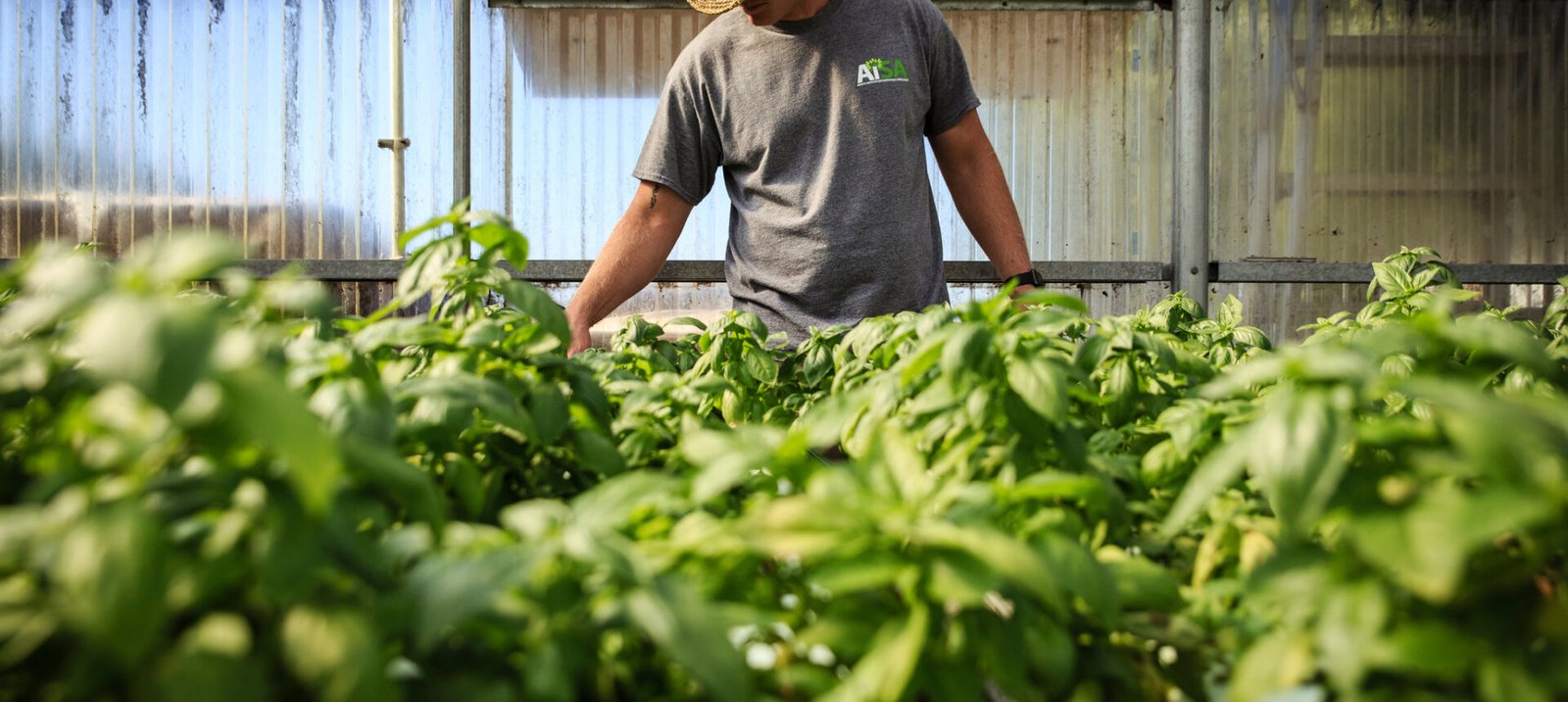 С КАКВО ДА ЗАМЕНИМ “НЕЗАМЕНИМИТЕ” ИНСЕКТИЦИДИ БИ-58 И НУРЕЛЕ Д