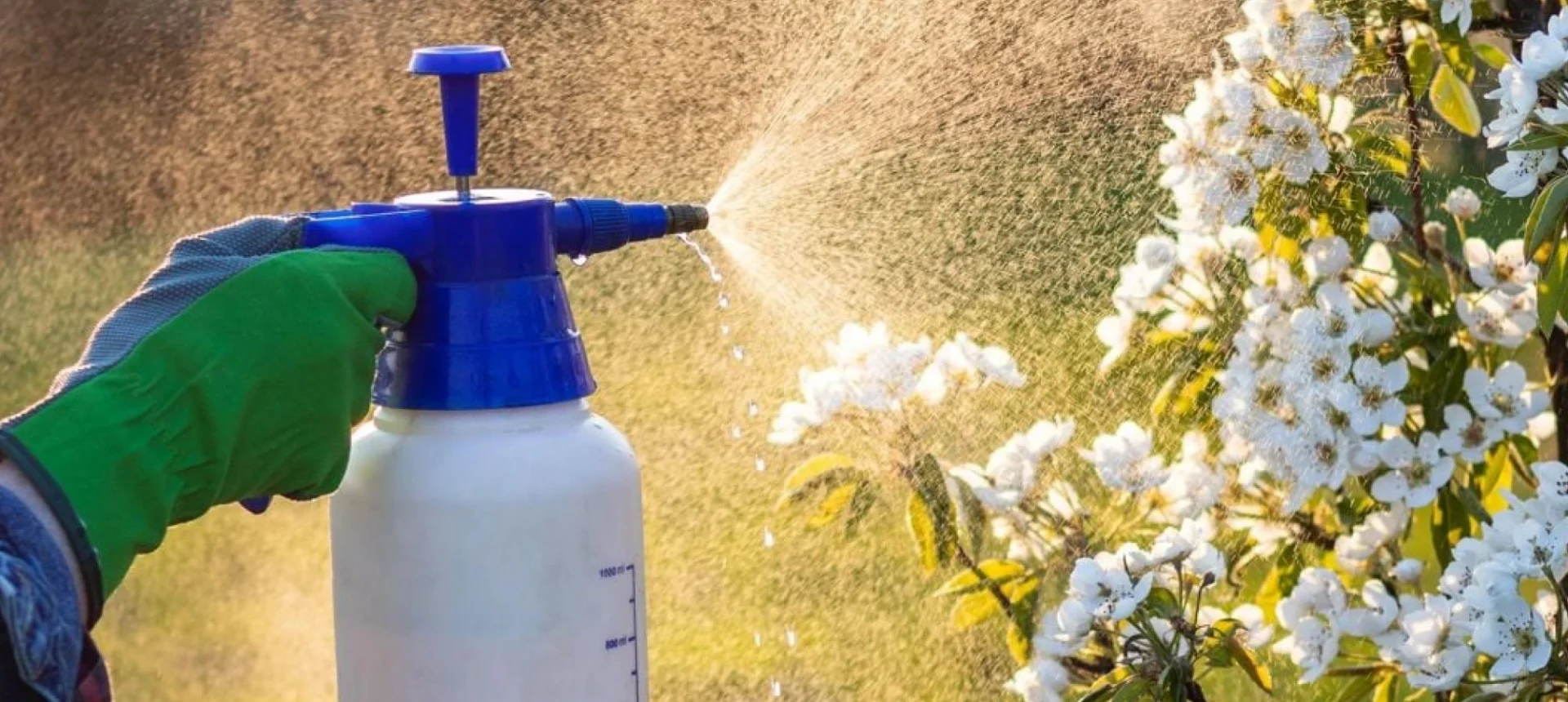 Пролетно пръскане