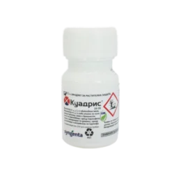 Куадрис 25 СК