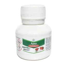 Луна Сенсейшън