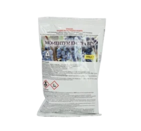 Моментум Екстра