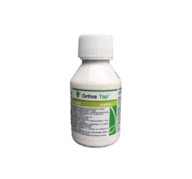 Ортива Топ