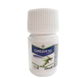 Сиванто Прайм