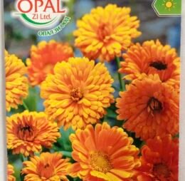 Медицински невен