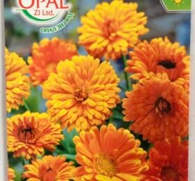 Медицински невен