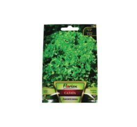 Салата Къдрава тип Джентелина