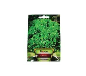 Салата Къдрава тип Джентелина