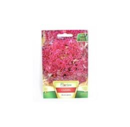 Салата Лоло Роса 2 гр.