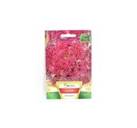 Салата Лоло Роса 2 гр.