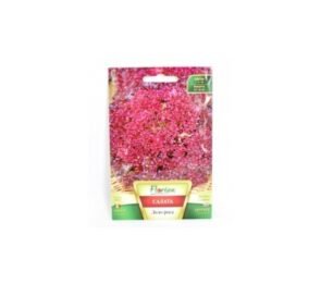 Салата Лоло Роса 2 гр.