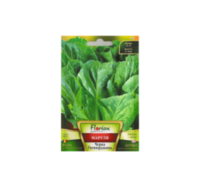 Маруля Черна гюмюрджина