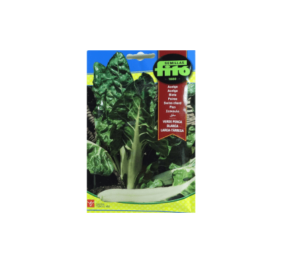 Манголд зелен FITO