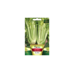 Целина Паскал / Тол Юта (дръжкова)