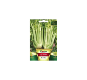 Целина Паскал / Тол Юта (дръжкова)