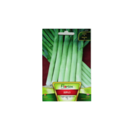 Праз Старозагорски 72