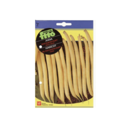 Градиснки фасул ФИТО Рокенкорн