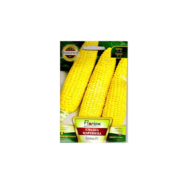 Сладка Царевица Ерика F1 10г.