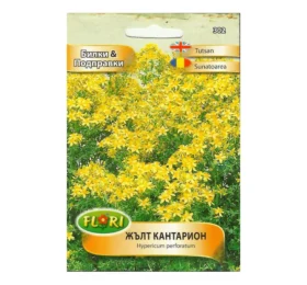 Жълт Кантарион