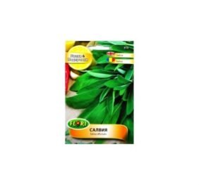 Салвия – градински чай