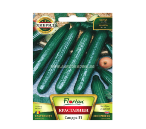 Краставици Сандра F1