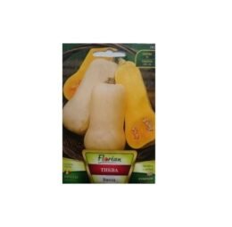 Тиква Виола (цигулка)