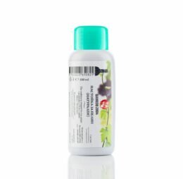 Настойка за пелин