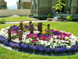 Цветна красота – какви цветя можем да засеем сега