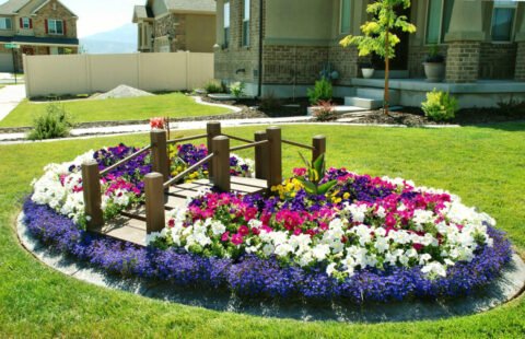 Цветна красота – какви цветя можем да засеем сега